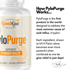 PyloPurge - Herbal Treatment For H Pylori Bacteria – GoodGut Nutrition